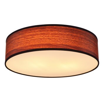 Globo VARIOS Ceiling Light white, 2-light sources