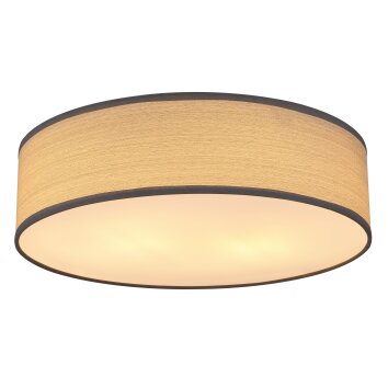 Globo VARIOS Ceiling Light, 2-light sources