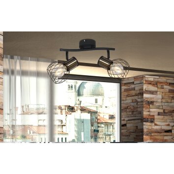 Globo ARGUSTO Spotlight black, 2-light sources