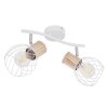 Globo LUISE Spotlight white, 2-light sources