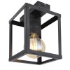 Globo HAGAR Ceiling Light black, 1-light source