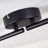 Juliboy Ceiling Light black, 4-light sources