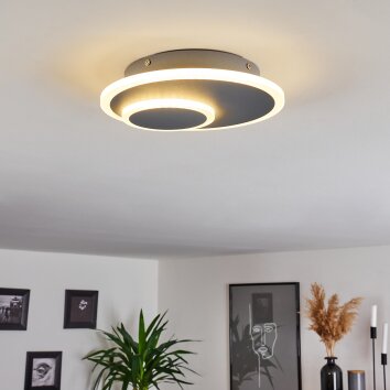 Harea Ceiling Light LED grey, 1-light source