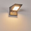 Matlava Outdoor Wall Light LED anthracite, white, 1-light source, Motion sensor