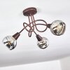 Warga Ceiling Light LED bronze, 3-light sources
