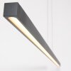 Steinhauer Light Stripe Pendant Light LED black, 1-light source
