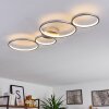 Rodekro Ceiling Light LED matt nickel, 1-light source