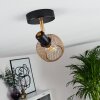 Pipisu Ceiling Light gold, brass, black, 1-light source