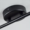 Pipisu Ceiling Light black, 4-light sources