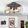 Palibatz Ceiling Light anthracite, 3-light sources