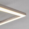 CHILKAT Ceiling Light LED matt nickel, 1-light source