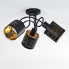 Bathinda Ceiling Light black, 3-light sources