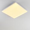 Bankura Ceiling Light LED white, 1-light source, Remote control