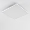 Bankura Ceiling Light LED white, 1-light source, Remote control