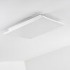 Bankura Ceiling Light LED white, 1-light source, Remote control