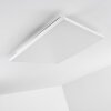 Bankura Ceiling Light LED white, 1-light source, Remote control