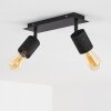 Ajaccio Ceiling Light black, 2-light sources