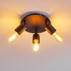 Ajaccio Ceiling Light black, 3-light sources