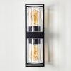 Palanga Outdoor Wall Light black, 2-light sources