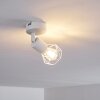 Baripada Ceiling Light white, 1-light source