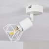 Baripada Ceiling Light white, 1-light source