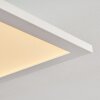 Salmi Ceiling Light LED white, 1-light source, Remote control