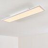 Salmi Ceiling Light LED white, 1-light source, Remote control