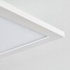 Salmi Ceiling Light LED white, 1-light source, Remote control