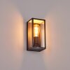 Hakkas Outdoor Wall Light black, silver, 1-light source