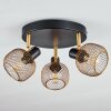 Pipisu Ceiling Light gold, brass, black, 3-light sources
