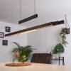 Inicio Pendant Light LED black, 3-light sources