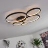 Rodekro Ceiling Light black, 1-light source