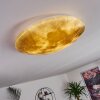 Keru Ceiling Light LED white, 1-light source, Remote control