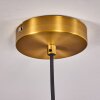 Paeni Pendant Light gold, brass, black, 1-light source