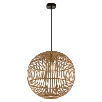 Globo HILDEGARD Pendant Light black, 1-light source