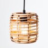Brilliant Crosstown Pendant Light black, 1-light source