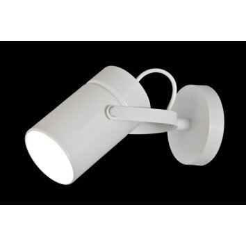 Mantra ARUBA Spotlight white, 1-light source
