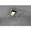 Trio Downey Ceiling Light LED black, 1-light source, Remote control