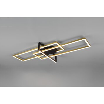 Trio Salinas Ceiling Light LED black, 1-light source