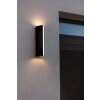 Lutec LEO Outdoor Wall Light LED black, 2-light sources
