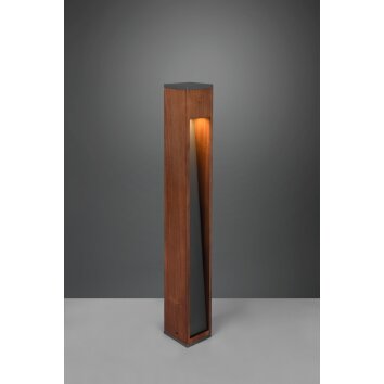 Trio Canning path light Dark wood, matt nickel, 1-light source