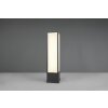Trio Fuerte path light LED anthracite, 1-light source