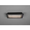 Trio Hardey Outdoor Wall Light LED anthracite, 1-light source