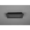 Trio Hardey Outdoor Wall Light LED anthracite, 1-light source