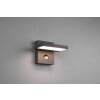 Trio Horton Outdoor Wall Light LED anthracite, 1-light source, Motion sensor
