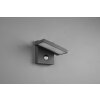 Trio Horton Outdoor Wall Light LED anthracite, 1-light source, Motion sensor