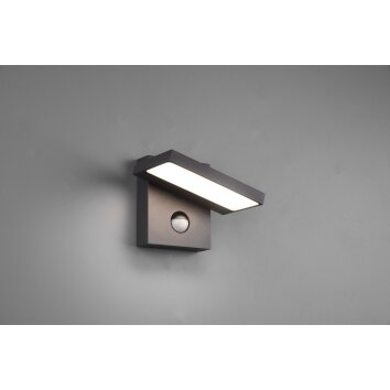Trio Horton Outdoor Wall Light LED anthracite, 1-light source, Motion sensor