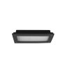 Trio Kelly Outdoor Wall Light LED anthracite, 1-light source