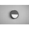 Trio Pedro Outdoor Wall Light LED anthracite, 1-light source