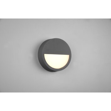 Trio Pedro Outdoor Wall Light LED anthracite, 1-light source
